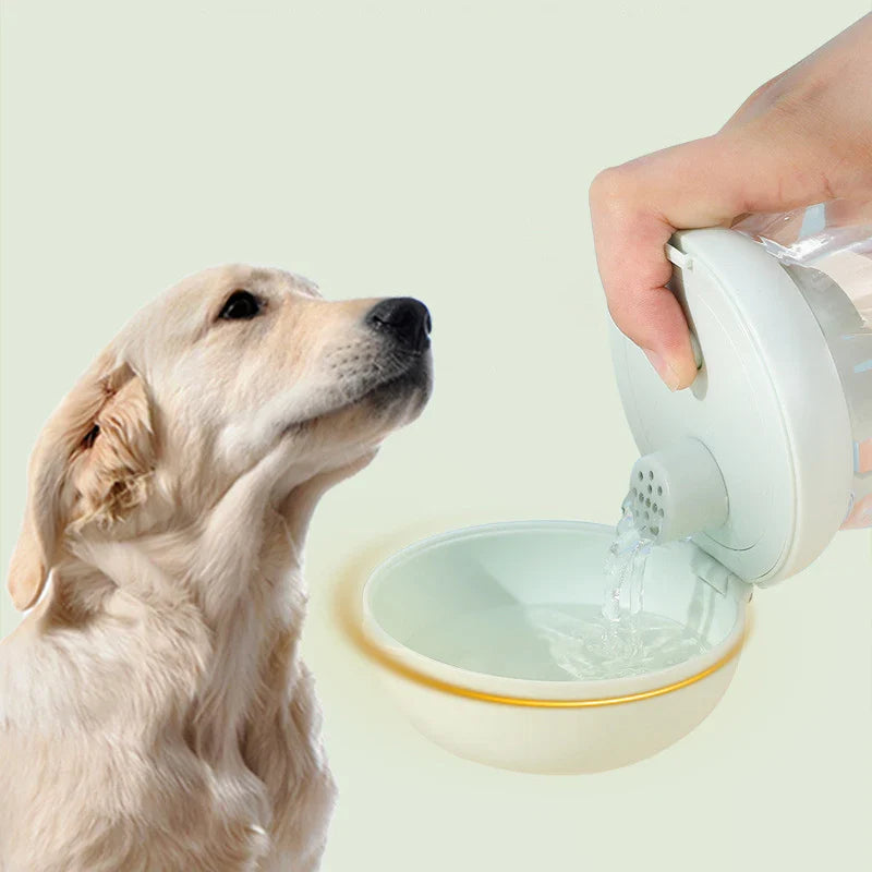Top 10 Tips for First-Time Pet Owners: A Guide to Successful Pet Parenting