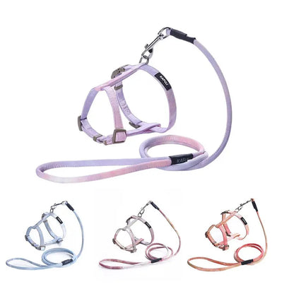 Adjustable Harness and Leash