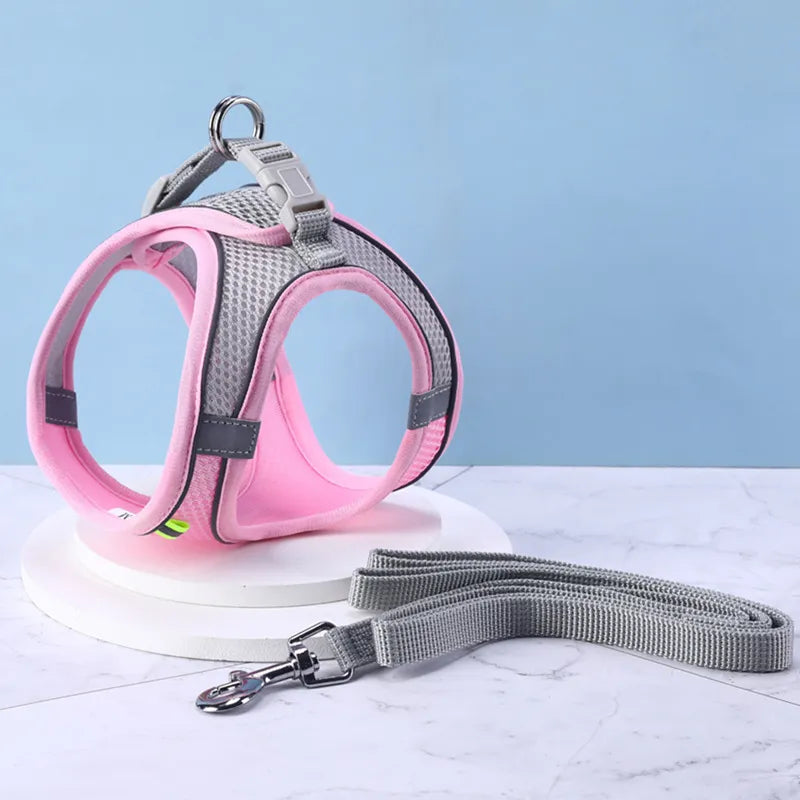 44628262322414|44628262355182|44628262387950|44628262420718|44628262453486