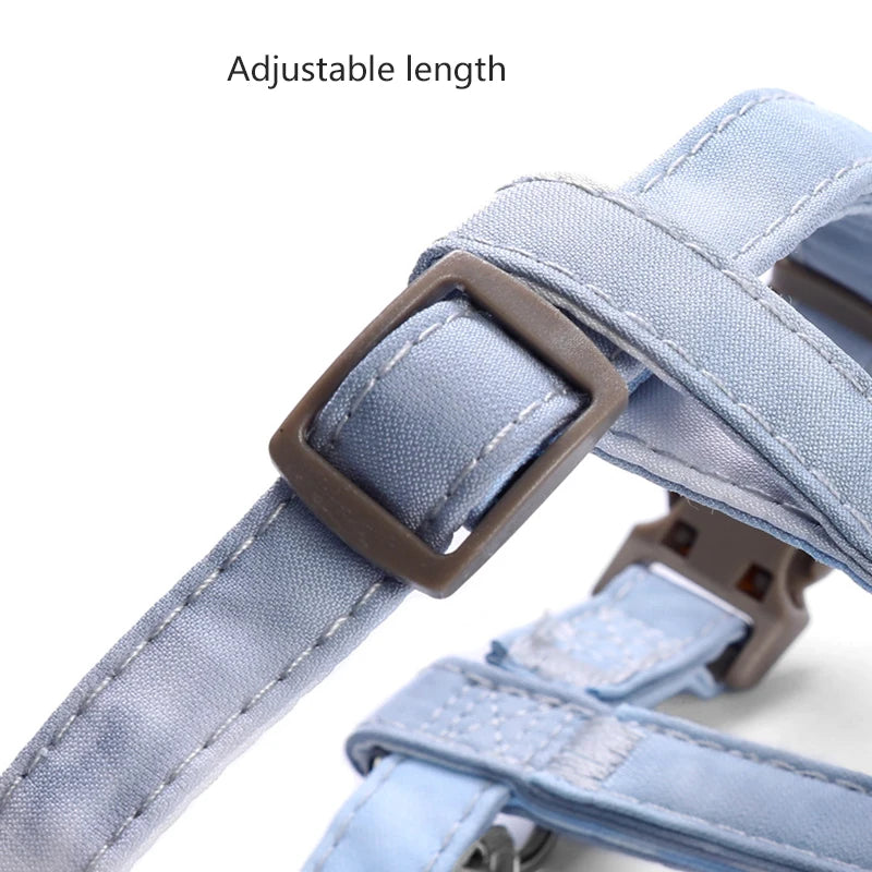 Adjustable Harness and Leash