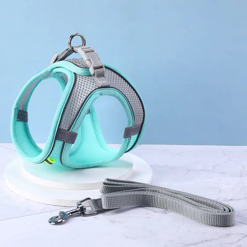 44628261994734|44628262027502|44628262060270|44628262093038|44628262125806