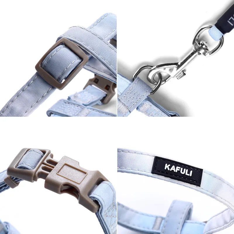 Adjustable Harness and Leash