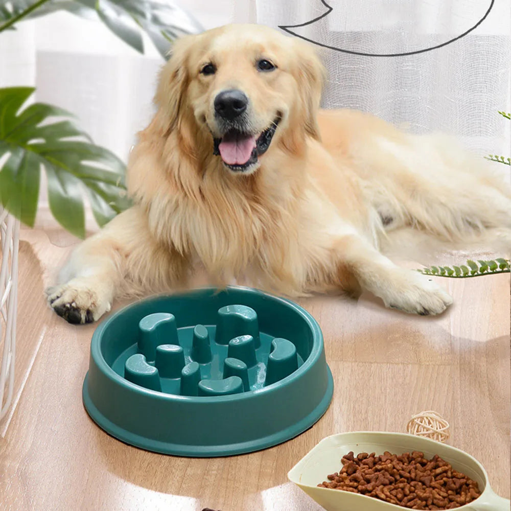 Dog Slow Food Feeder